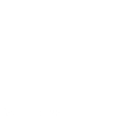 DESARROLLO WEB